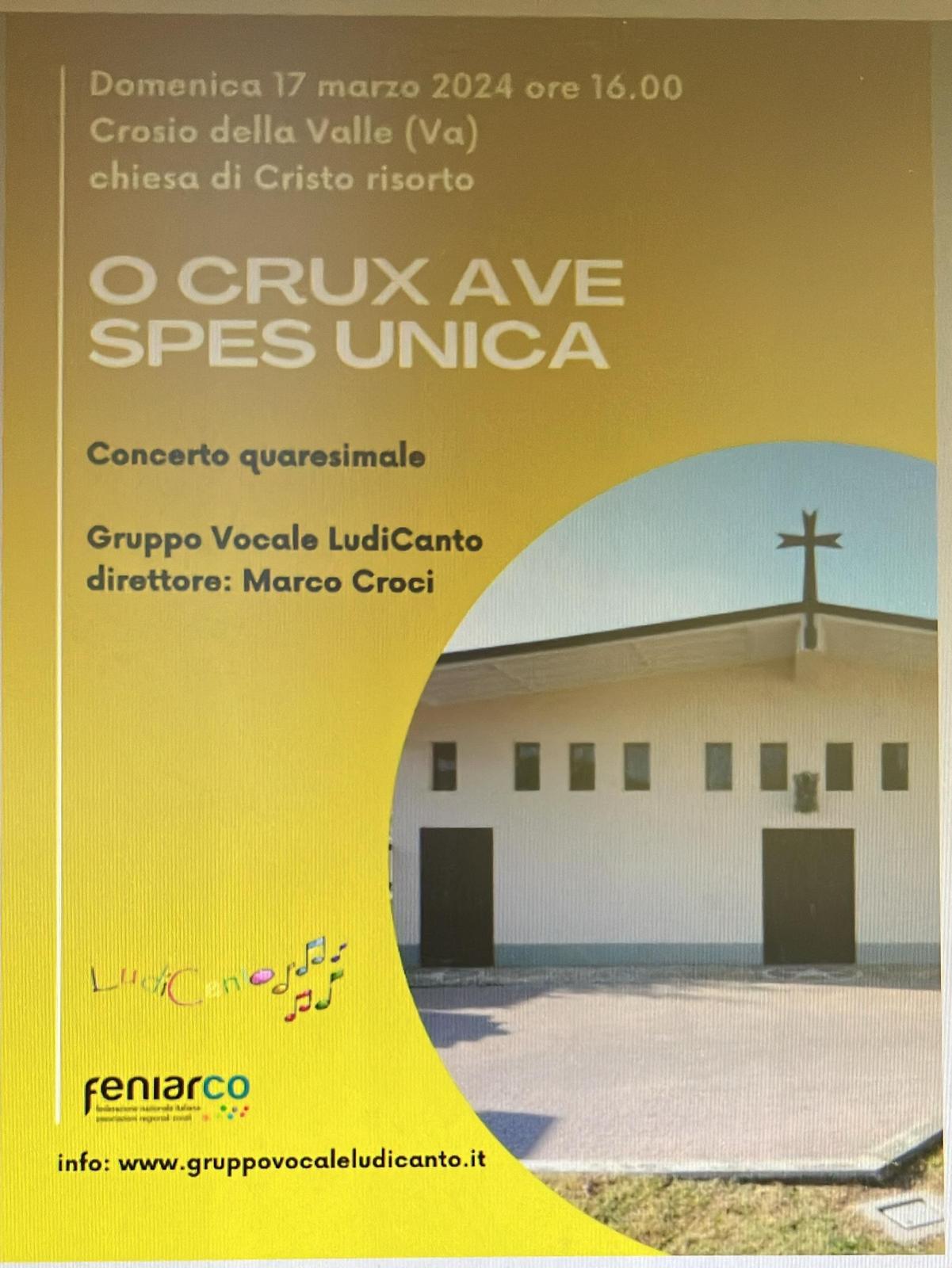 ludicanto24-1